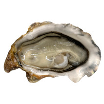 Huîtres Fines de Bretagne N°3 x24