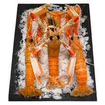 Langoustine calibre 10/15 ⚖