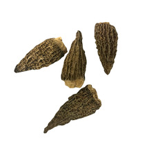 Morille spéciale séchée Jumbo 8+ tubo 250g