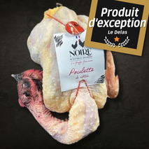 Poulette Noire d'Astarac Bigorre 150 jours effilée ±1,8kg