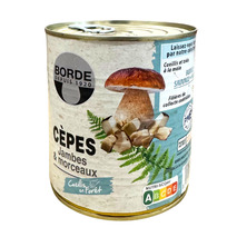 Cèpes jambes et morceaux 4/4