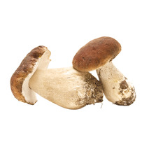 ❆ Whole porcini mushrooms 3-5 1kg