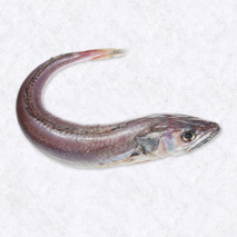 Colinot small hake 100-300g ⚖