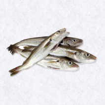 Pollack fillet with skin ±500g