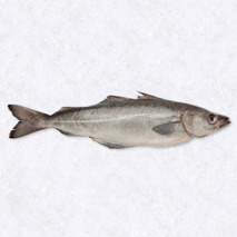 Coalfish fillet ±400g ⚖