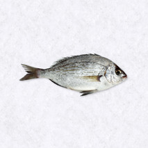 Dorade grise 800g-1kg ⚖