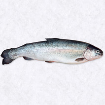 Ready-to-cook rainbow trout farmed in France 1-2kg ⚖