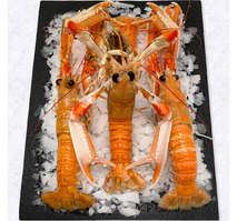 Langoustine calibre 16/20 ⚖