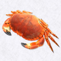 Large crabs ⚖