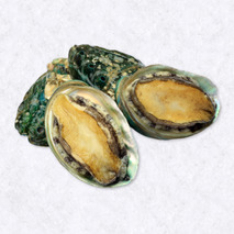 Abalone ±1kg