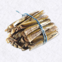 Razor clams ±1kg ⚖