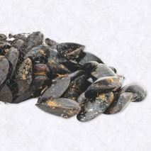 Ready-to-cook rope-grown mussels 5kg