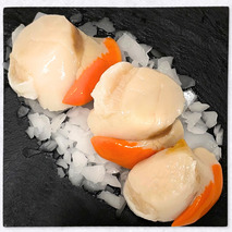 Noix de Saint-Jacques française fraîche (corail ou blanche) colis ±2kg ⚖
