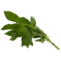Basil bunch 30g