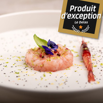 ❆ Gambero rosso tartare | Premium red prawns 10x100g