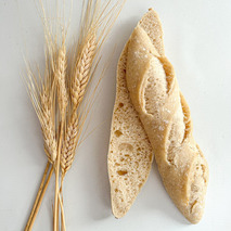 ❆ Galzinette nature | Pain fusette au levain précuit 50x45g