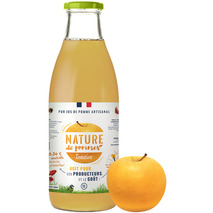 Tentation pressed apple juice origin France 1L