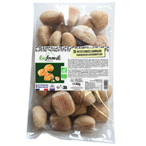 Pain pavé de campagne précuit BIO 30x38g