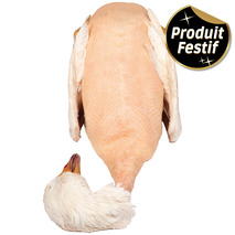 Oie française Excellence ±6kg