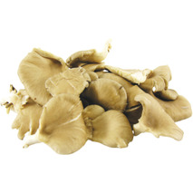 Grey oyster mushroom ⚖