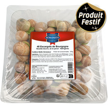 Escargots Bourgogne au chablis belle grosseur x48