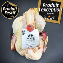 Chapon Noire d'Astarac Bigorre plumé à l'eau PAC ±2,5kg