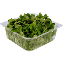 Lamb's lettuce salad tub 150g