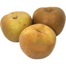 Canada apple ⚖