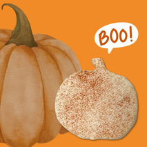 Farmhouse raw goat's cheese moulded in ashy pumpkin 6x±135g