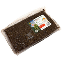 Cooked green lentils french origin vacuum packed 2.5kg