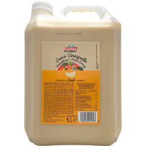 Vinaigrette container 5L