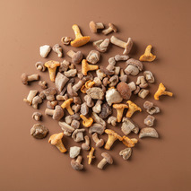 ❆ Premium forest mix of sliced mushrooms 2.5kg