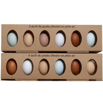 Box of French free-range coloured eggs | Noirans Azur Olive Rhode Island Leghorn x6