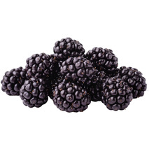 ❆ Wild blackberries bag 1kg