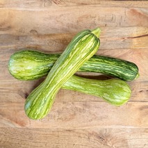 Nice long squash medium ⚖
