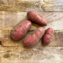 Pink potato Delila ⚖