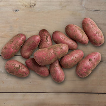 Pink potato of France