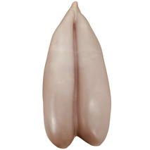 Waxed premium bottarga ±150g