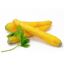 Yellow carrot ⚖