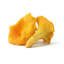 ❆ Chanterelle mushroom 3/5 pouch 1kg