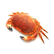 Cooked crab 600g