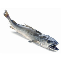 Line-caught hake ⚖