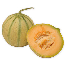 Melon charentais