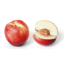 White nectarine import ⚖