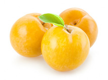Yellow prune
