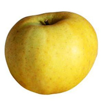 Chanteclec apple ⚖