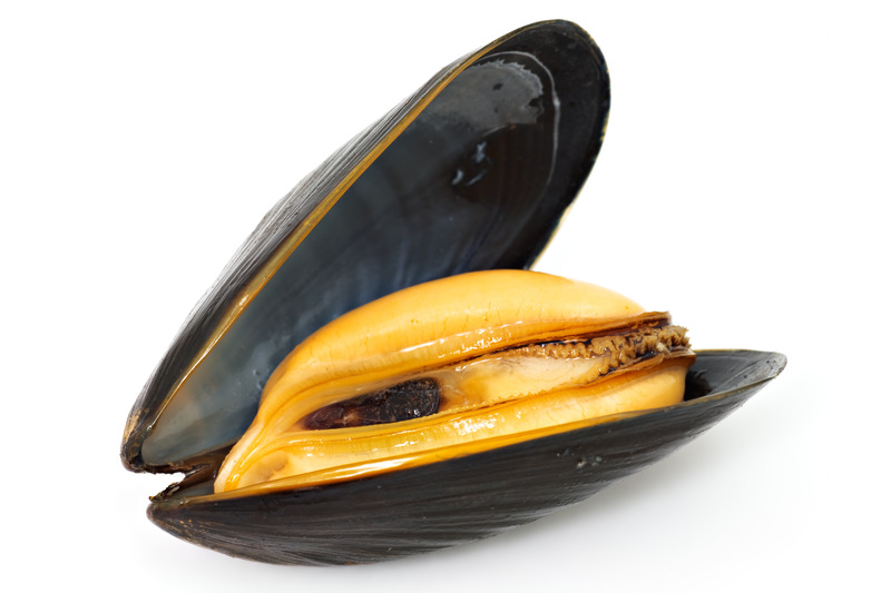 Ready-to-cook rope-grown mussels 5kg