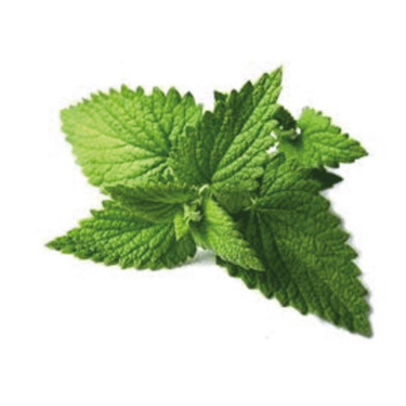 Peppermint extract 15ml