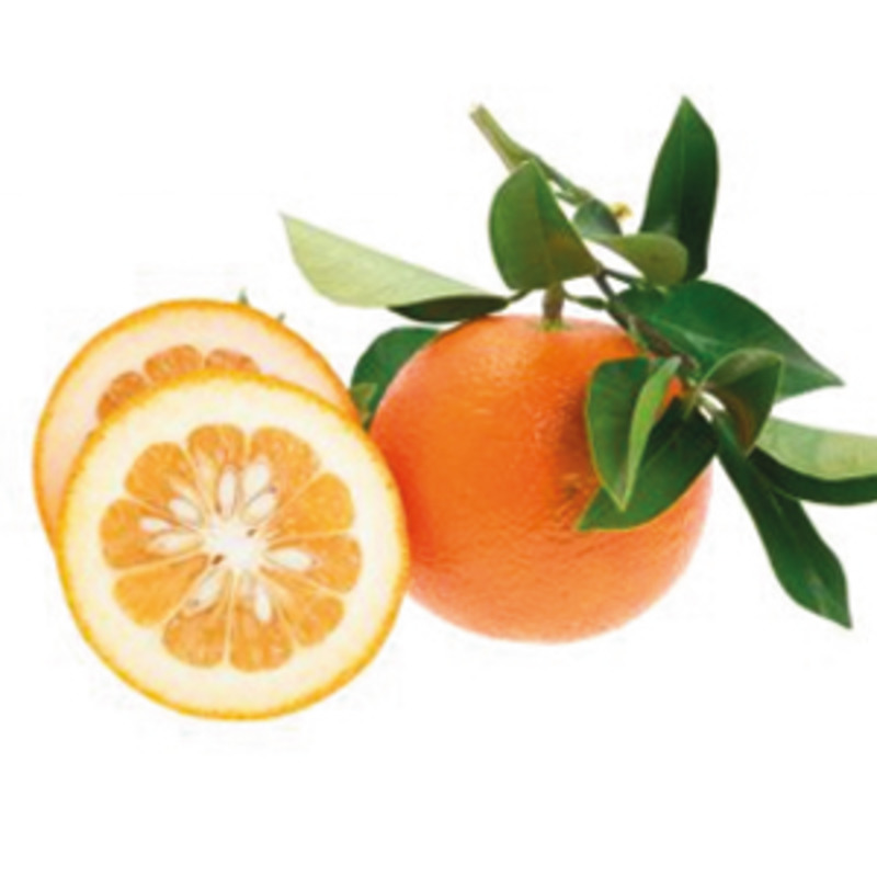 Huile essentielle d'orange amère 15ml