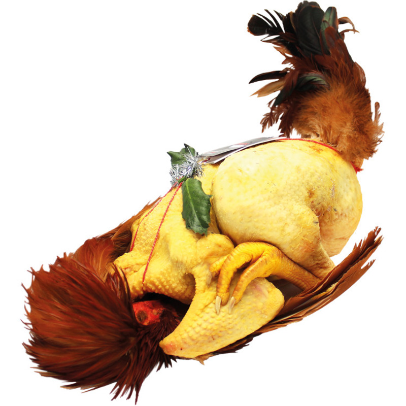 Chapon du Gers ±3,8kg